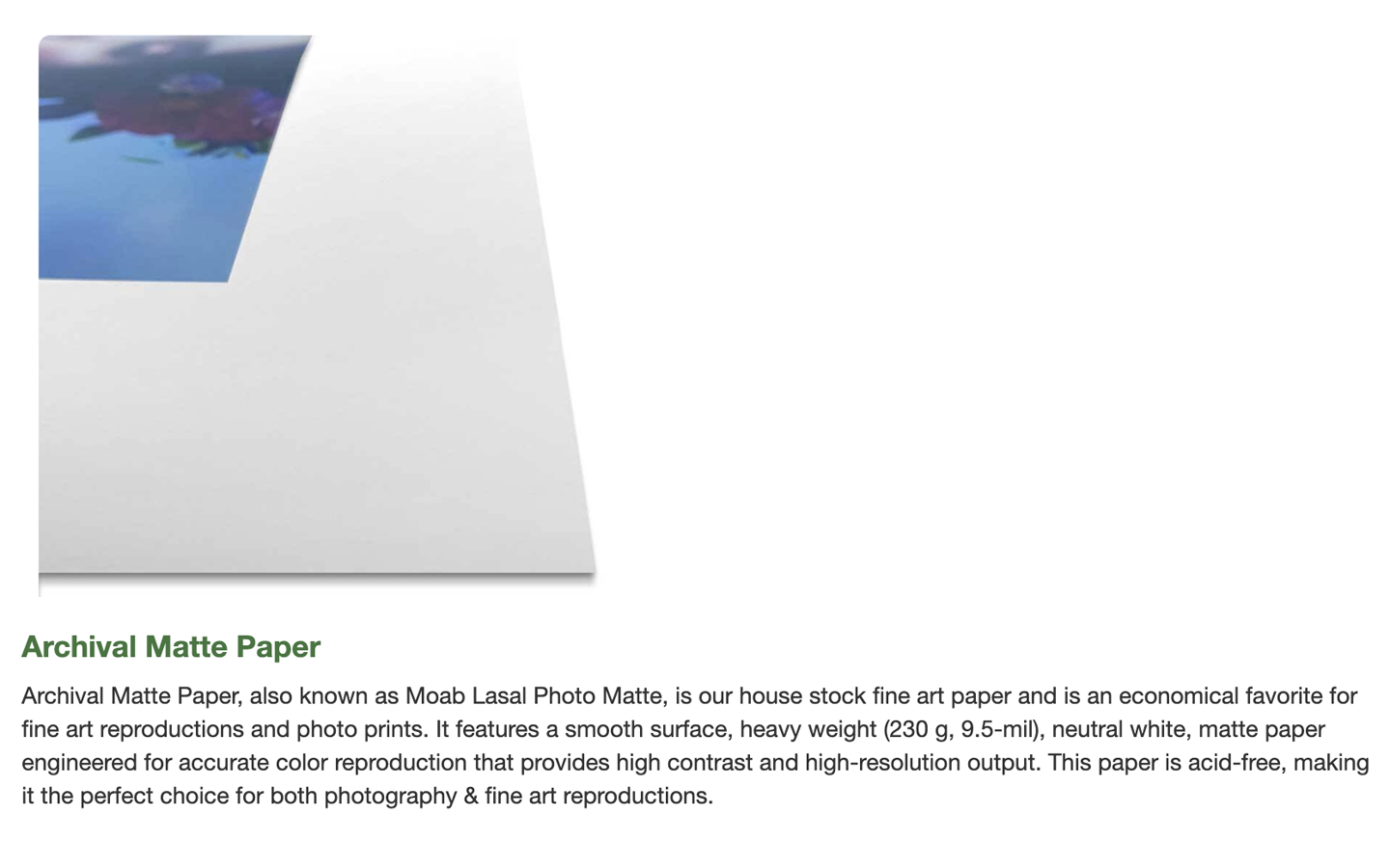 OrangePink Figure-Dance-Green Field-Cactus