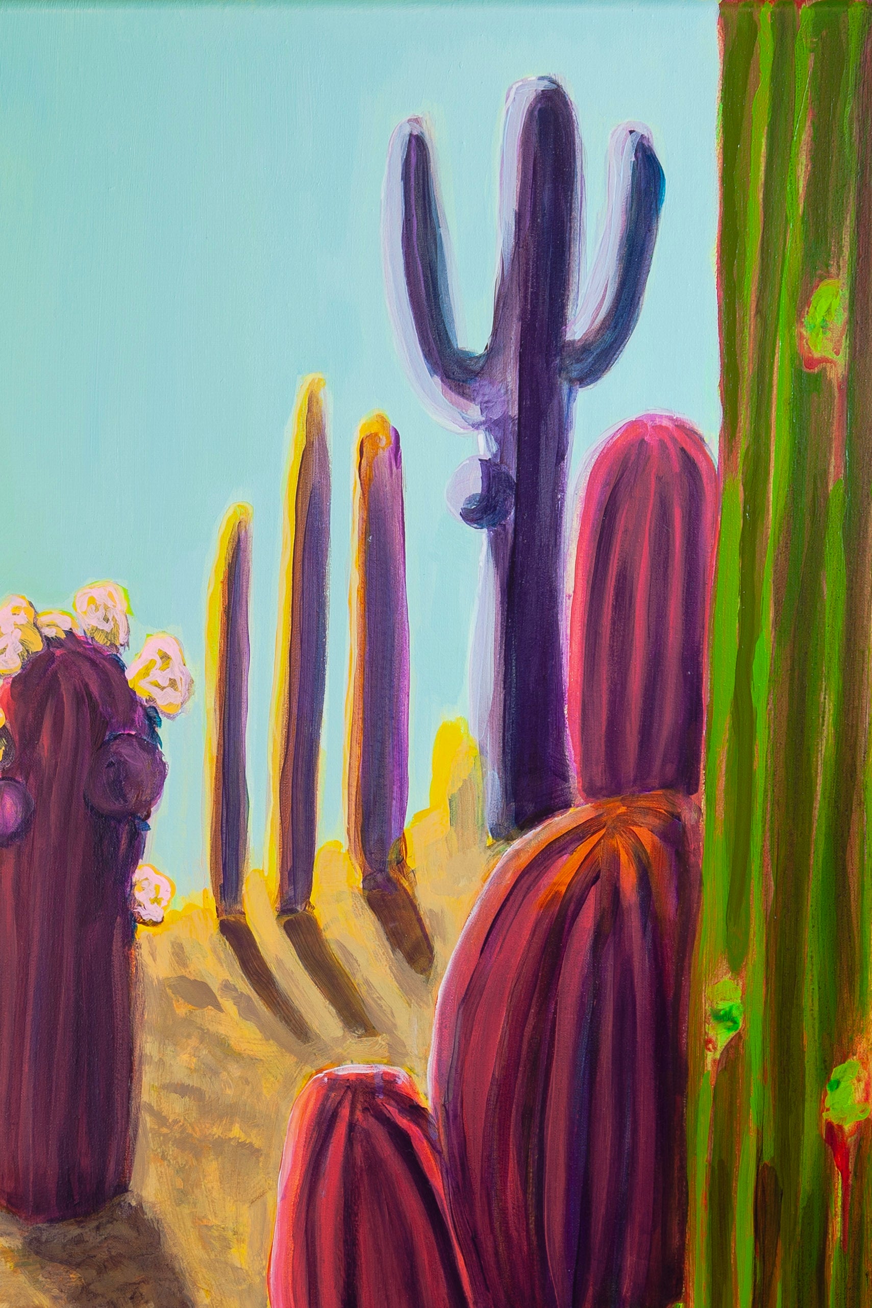 Between Two Cactuses