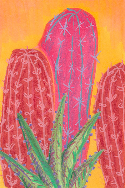 Pink/Red Cactus