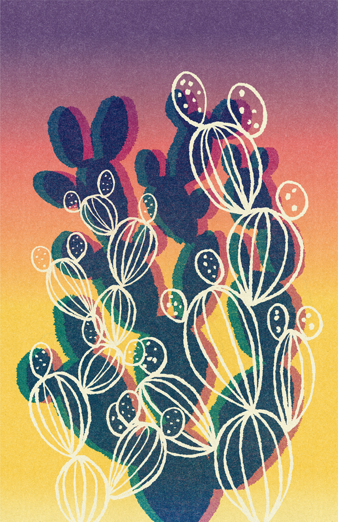 Sunset Moody Cactus Poster