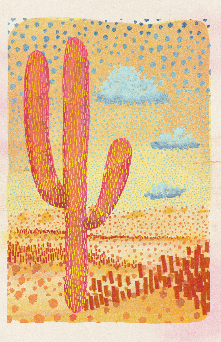 Warm Sunny Cactus Poster