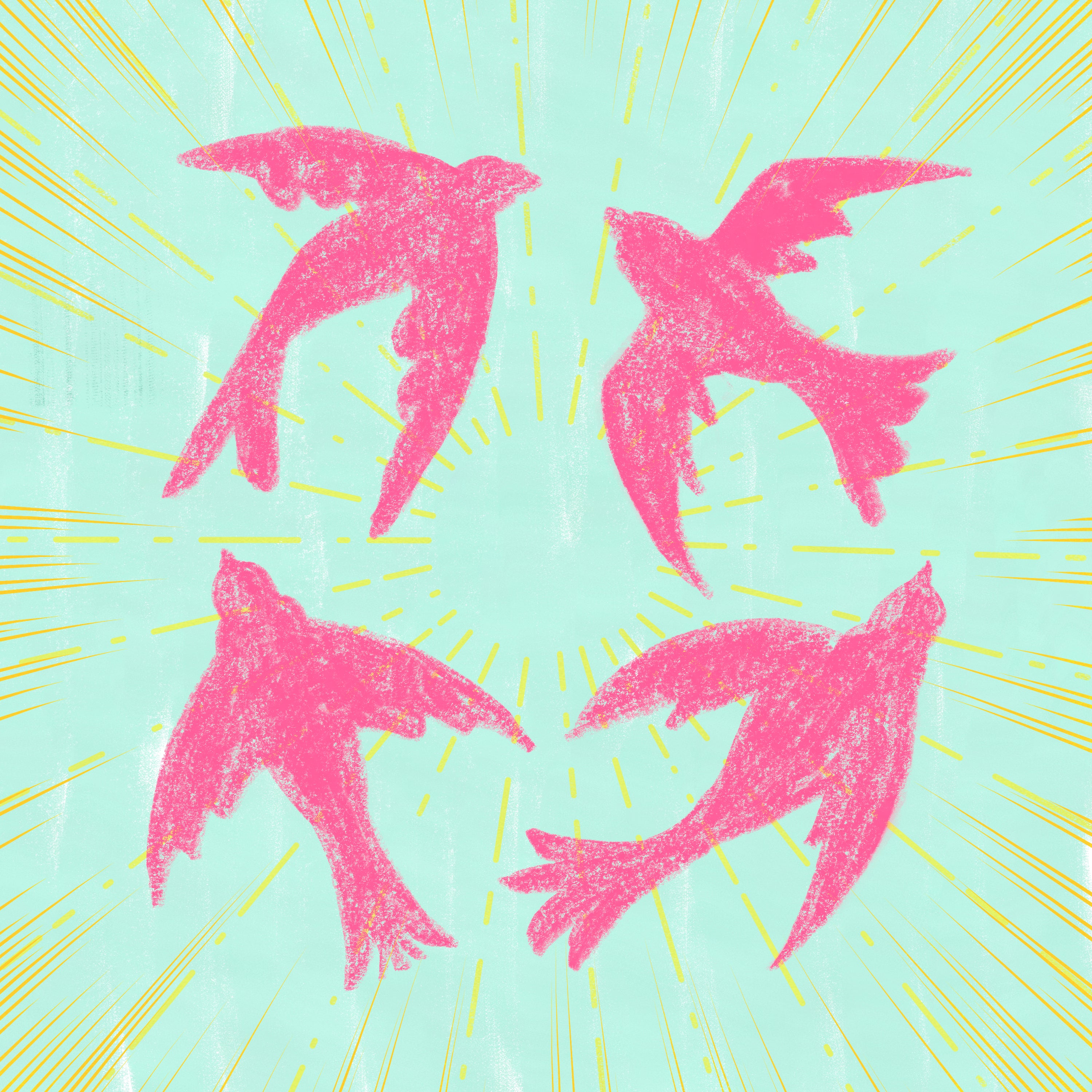 Pink Birds in a Circle(Sticker)